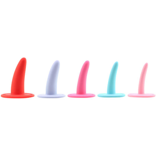 Calexotics she-ology dilator set