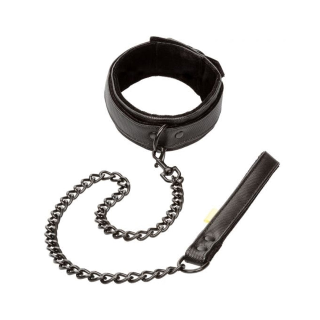 Boundless by Calexotics leash and collar. Collier et laisse. power play