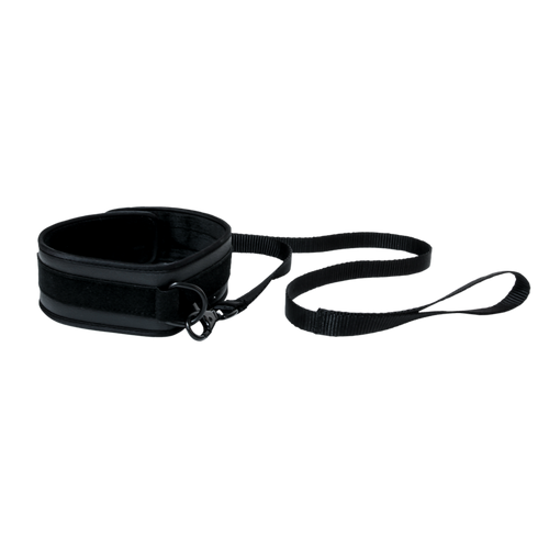 collier et laisse Miss Morgane