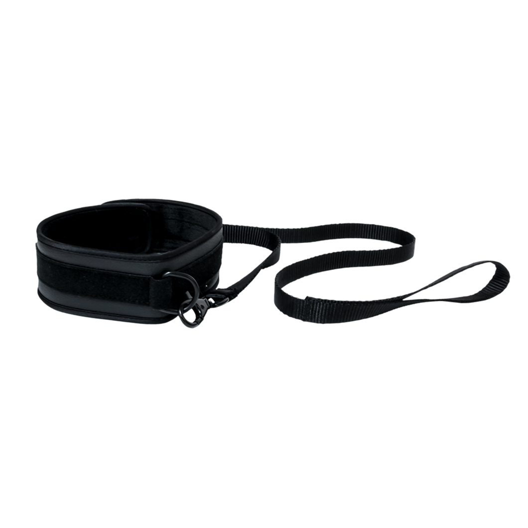 collier et laisse Miss Morgane